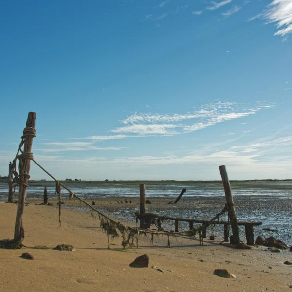 Proche du chenal de Boyardville