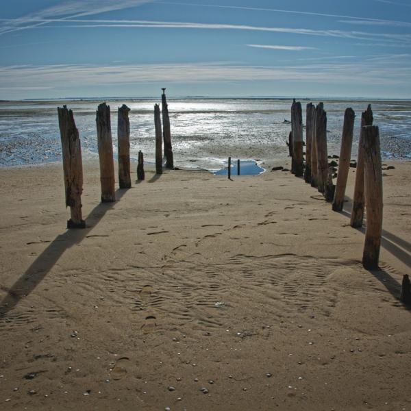 Bord de mer à Boyardville