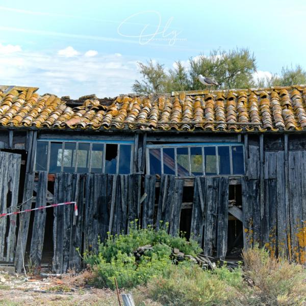 Cabane à Fort Royer