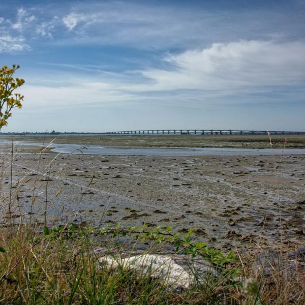 Le pont à l'horizon