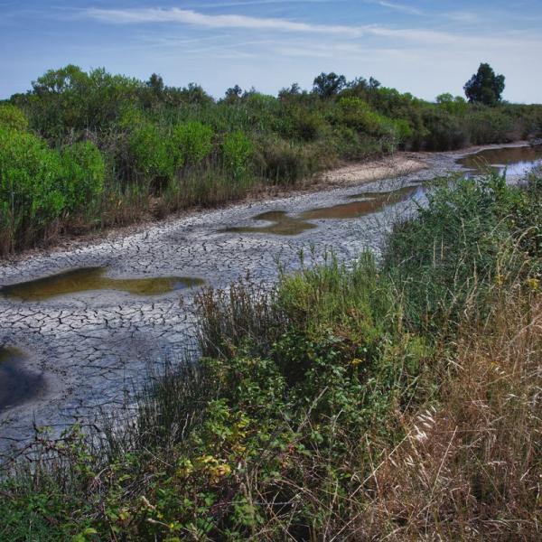 La terre desséchée du marais