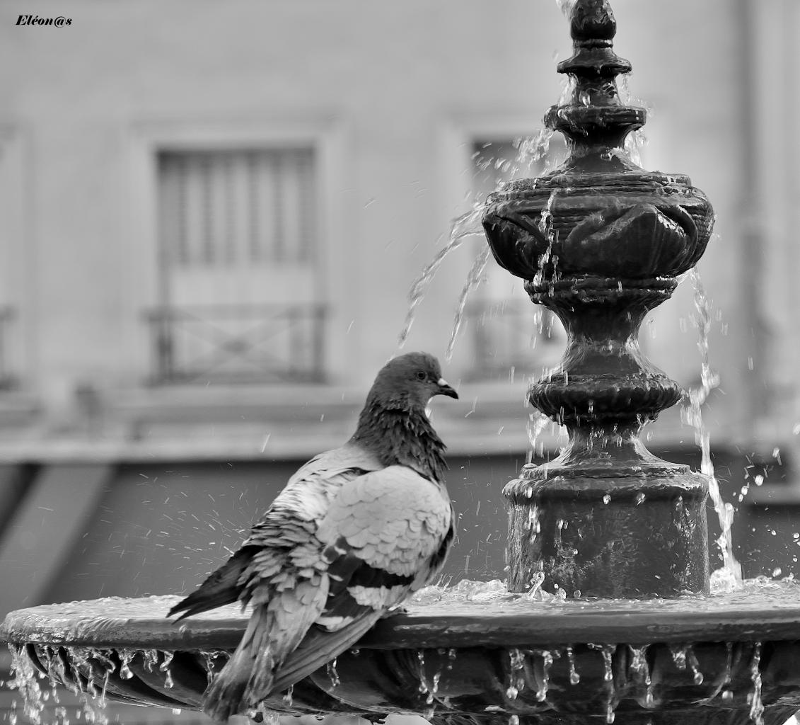 Pause fontaine