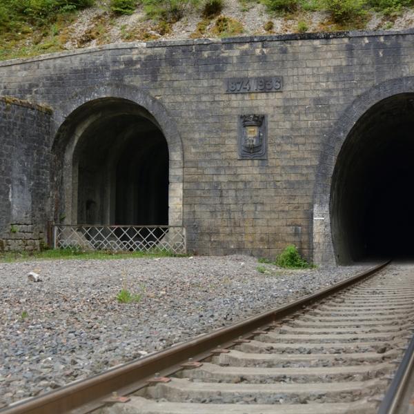 Le tunnel de Tavannes est un ouvrage ferroviaire de 1870
