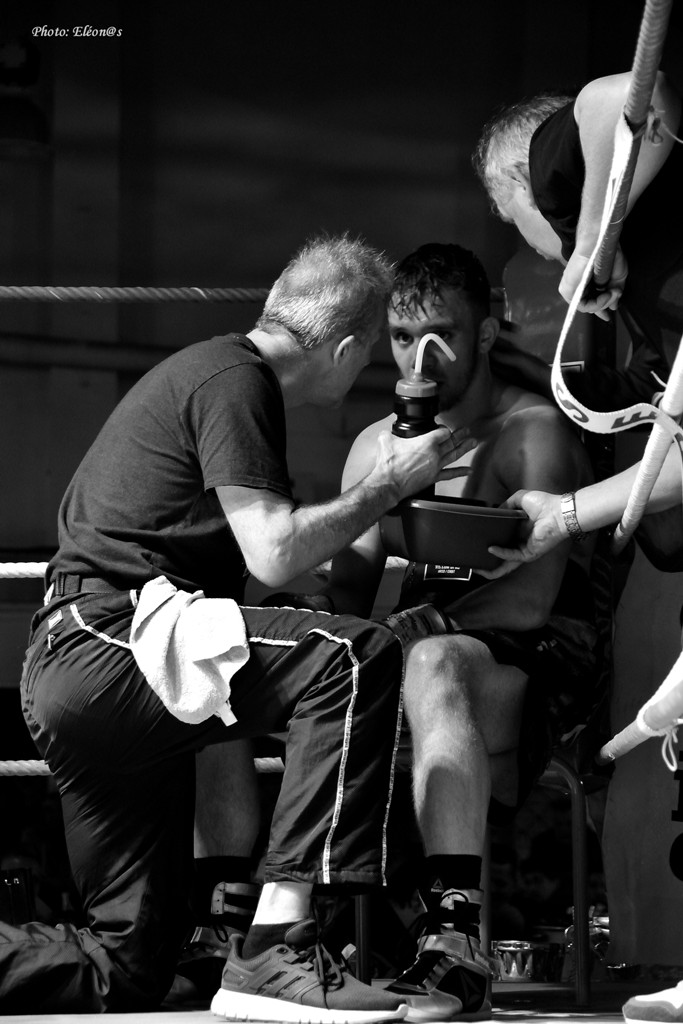 Soins et conseils dans le coin du ring